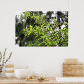 Frühlingsbaum im Regen Poster (Küche)