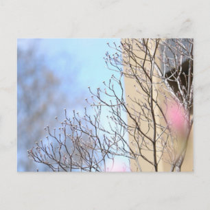 Frühlingsbaum Postkarte