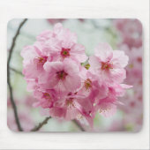 Frühlingsbeauty: Cherry Blossom Fotografie Mousepad (Vorne)