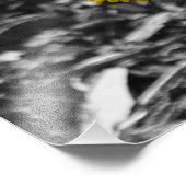 Frühlingsbestäubung Fotodruck (Ecke)