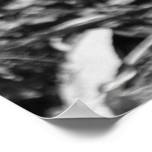 Frühlingsbestäubung Poster (Ecke)