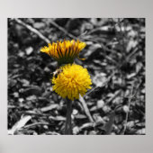 Frühlingsbestäubung Poster (Vorne)