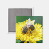 Frühlingsbiene Magnet (Vorderseite/Rückseite)