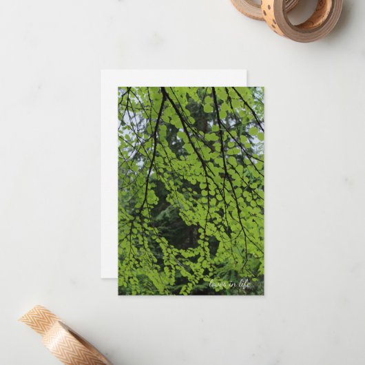 Frühlingsblätterung Mitteilungskarte (Vorderseite/Rückseite Beispiel)