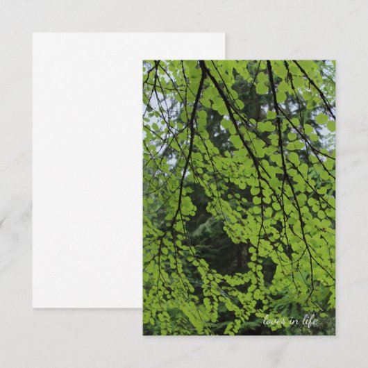 Frühlingsblätterung Mitteilungskarte (Vorne/Hinten)