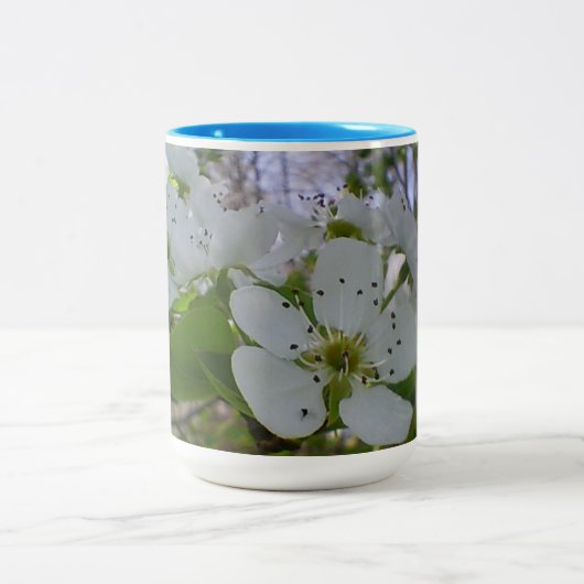 Frühlingsblühen Zweifarbige Tasse (Mittel)