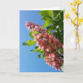 Frühlingsblühende KastanienbaumbaumBlume Karte (Gelbe Blume)