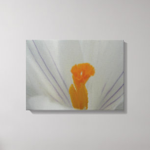 FrühlingsBlume Leinwanddruck