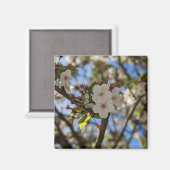 FrühlingsBlume Magnet (Vorderseite/Rückseite)