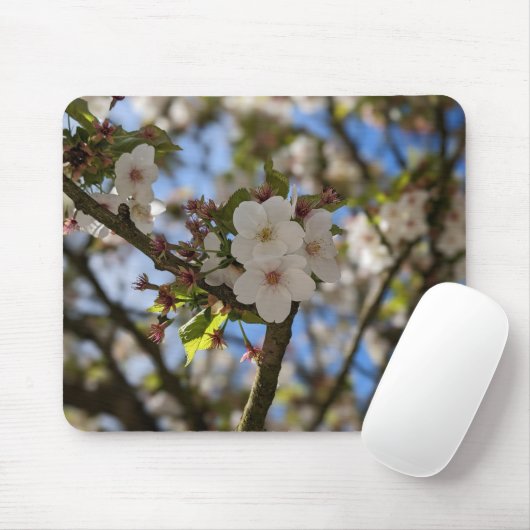 FrühlingsBlume Mousepad (Mit Mouse)