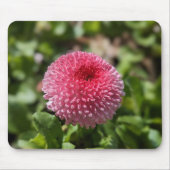 FrühlingsBlume Mousepad (Vorne)