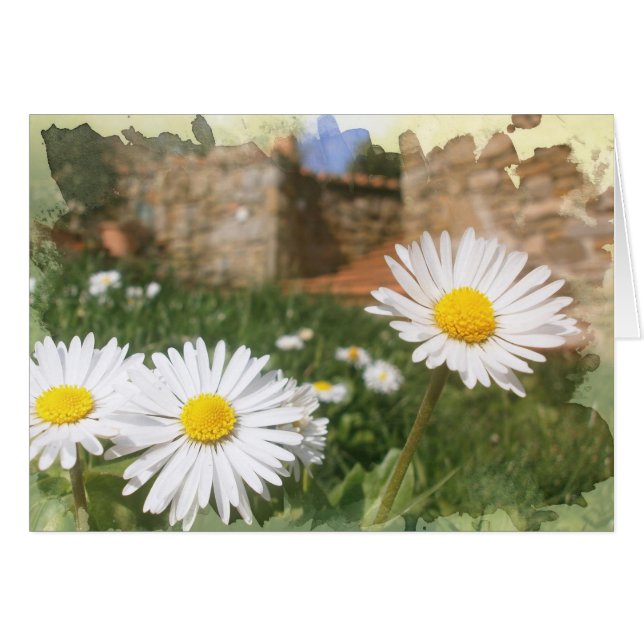 Frühlingsblumen (Vorderseite (Horizontal))