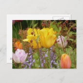 Frühlingsblumen an der Grenze Postkarte (Vorne/Hinten)