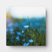 Frühlingsblumen auf dem Feld Fotoplatte (Vorderseite)