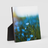 Frühlingsblumen auf dem Feld Fotoplatte (Vorderseite)