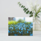 Frühlingsblumen auf dem Feld Postkarte (Stehend Vorderseite)