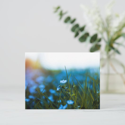 Frühlingsblumen auf dem Feld Postkarte (Stehend Vorderseite)