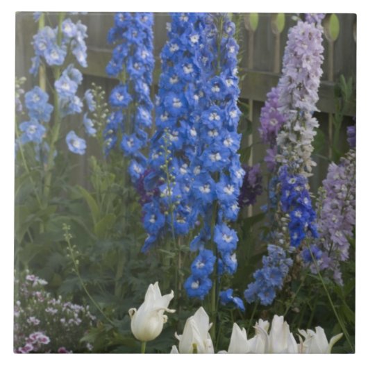 Frühlingsblumen auf einem Gartenweg, Georgien 2 Fliese (Vorderseite)