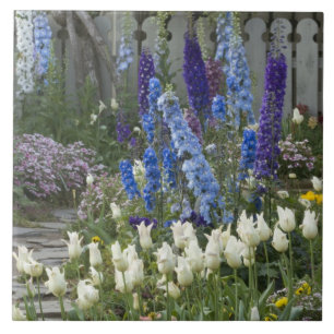 Frühlingsblumen auf einem Gartenweg, Georgien Fliese