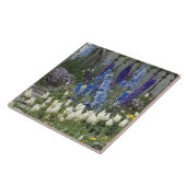 Frühlingsblumen auf einem Gartenweg, Georgien Fliese (Seite)