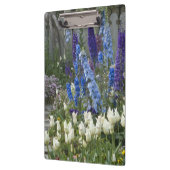 Frühlingsblumen auf einem Gartenweg, Georgien Klemmbrett (Links)