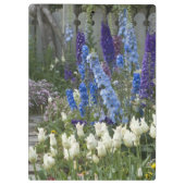 Frühlingsblumen auf einem Gartenweg, Georgien Klemmbrett (Rückseite)