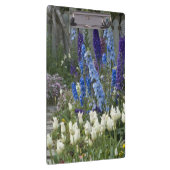 Frühlingsblumen auf einem Gartenweg, Georgien Klemmbrett (Rechts)