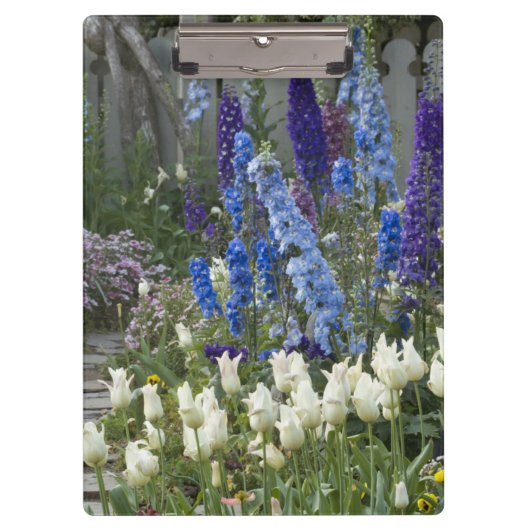 Frühlingsblumen auf einem Gartenweg, Georgien Klemmbrett (Vorderseite)