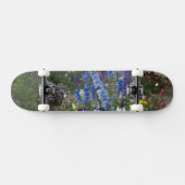 Frühlingsblumen auf einem Gartenweg, Georgien Skateboard (Horizontal)