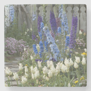 Frühlingsblumen auf einem Gartenweg, Georgien Steinuntersetzer