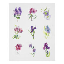 Frühlingsblumen Botanische Aquarell-Sammlung