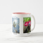 Frühlingsblumen Daisies Magnolia Crocuses Tasse (VorderseiteRechts)