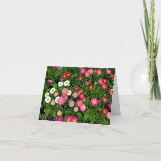 Frühlingsblumen Dankeskarte (Vorderseite)