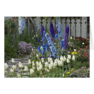 Frühlingsblumen entlang eines Gartenweges, Georgia