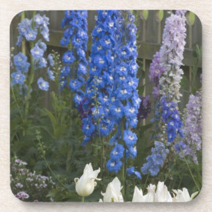 Frühlingsblumen entlang eines Gartenwegs, Georgia Getränkeuntersetzer