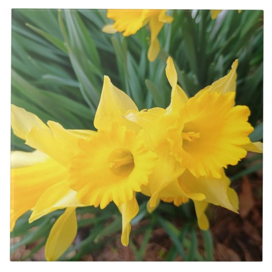 Frühlingsblumen Fliese (Vorderseite)
