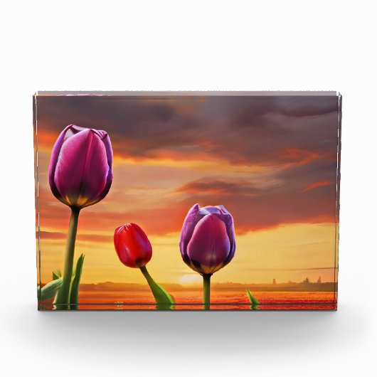 Frühlingsblumen für den Valentinstag Fotoblock (Vorderseite)
