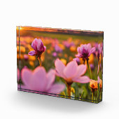 Frühlingsblumen für den Valentinstag Fotoblock (Rechts)