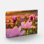 Frühlingsblumen für den Valentinstag Fotoblock (Links)
