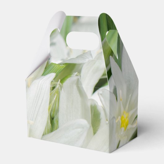 Frühlingsblumen Geschenkschachtel (Vorderseite)