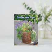 Frühlingsblumen Grüße von Napa Postkarte (Stehend Vorderseite)