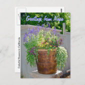 Frühlingsblumen Grüße von Napa Postkarte (Vorne/Hinten)