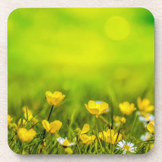 Frühlingsblumen Hintergrund-31653 Getränkeuntersetzer (Vorderseite)