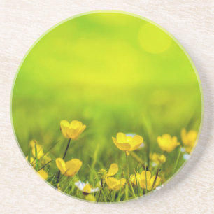 Frühlingsblumen Hintergrund Getränkeuntersetzer