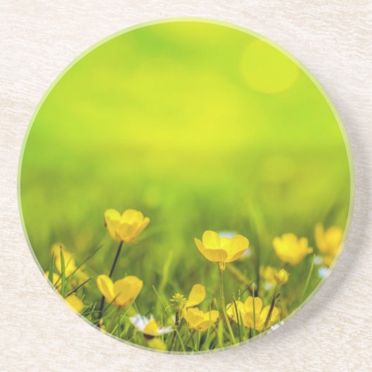 Frühlingsblumen Hintergrund Getränkeuntersetzer (Vorne)