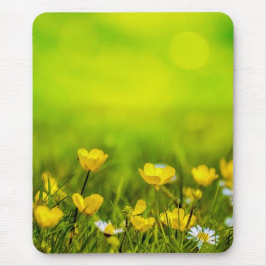 Frühlingsblumen Hintergrund Mousepad (Vorne)