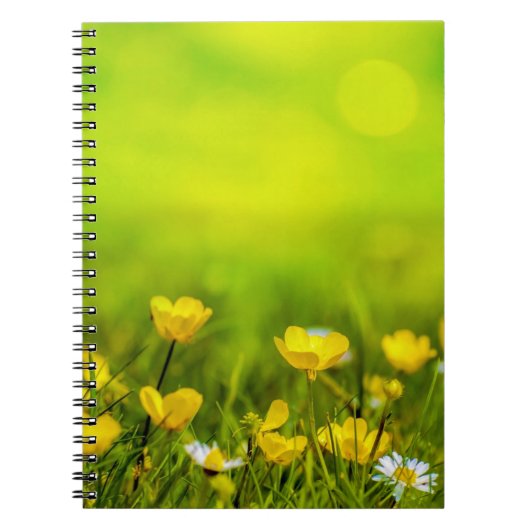 Frühlingsblumen Hintergrund Notizblock (Vorderseite)
