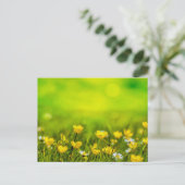 Frühlingsblumen Hintergrund Postkarte (Stehend Vorderseite)