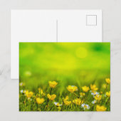 Frühlingsblumen Hintergrund Postkarte (Vorne/Hinten)