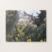 Frühlingsblumen im Hyde Park, London, Vereinigtes Puzzle (Horizontal)